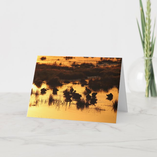 Ducks at Daybreak Card (Front)