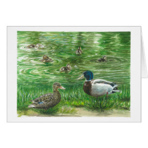 Ducks at Glendoveer pond