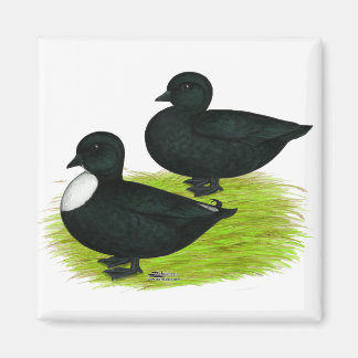 Ducks: Black Calls Magnet