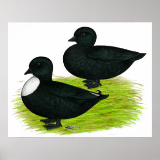 Ducks: Black Calls Poster