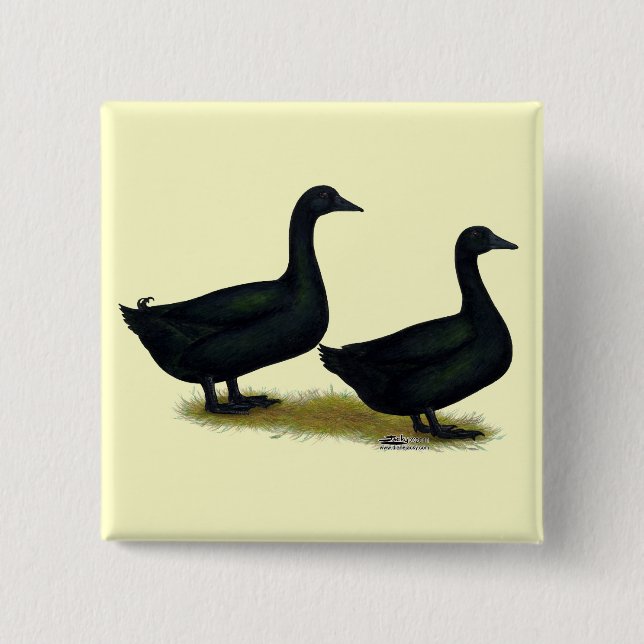 Ducks:  Black Cayugas 15 Cm Square Badge (Front)