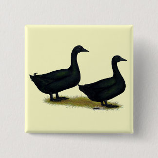 Ducks: Black Cayugas 15 Cm Square Badge