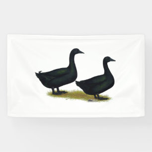 Ducks: Black Cayugas Banner