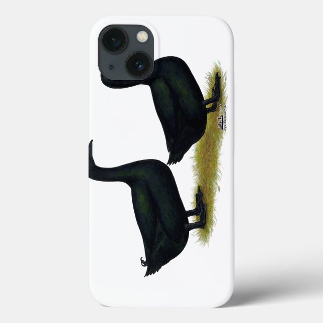 Ducks:  Black Cayugas Case-Mate iPhone Case (Back)