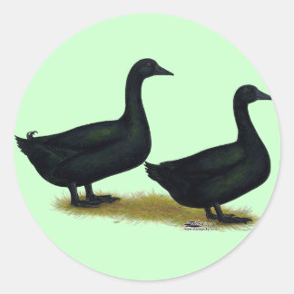 Ducks: Black Cayugas Classic Round Sticker