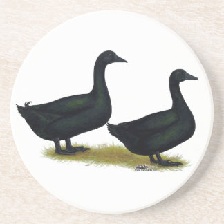 Ducks: Black Cayugas Coaster