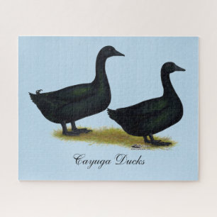 Ducks: Black Cayugas Jigsaw Puzzle