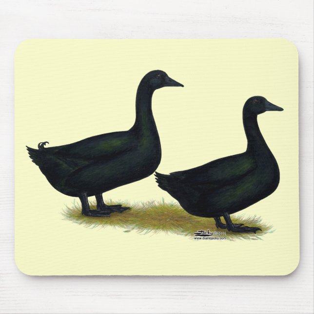 Ducks:  Black Cayugas Mouse Pad (Front)