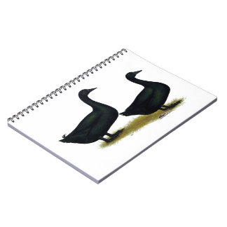 Ducks: Black Cayugas Notebook