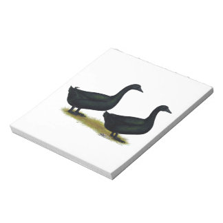 Ducks:  Black Cayugas Notepad