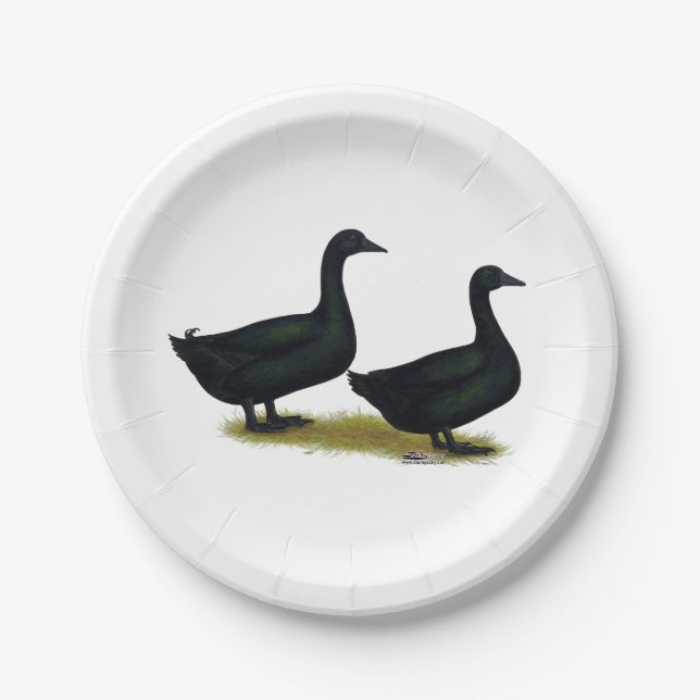 Ducks:  Black Cayugas Paper Plate (Front)