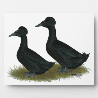 Ducks:  Black Crested Plaque