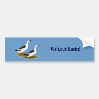 Ducks:  Black Magpies Bumper Sticker