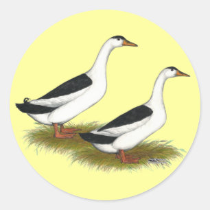Ducks: Black Magpies Classic Round Sticker