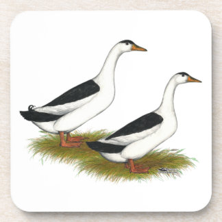 Ducks: Black Magpies Coaster