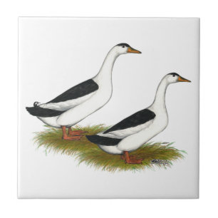 Ducks: Black Magpies Tile