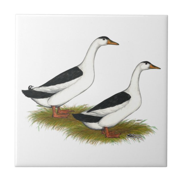 Ducks:  Black Magpies Tile (Front)