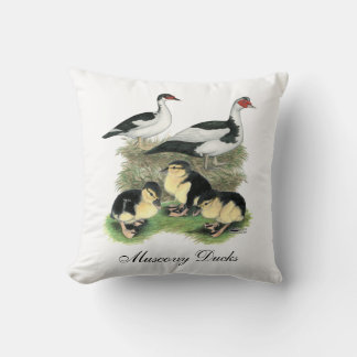 Ducks Black Pied Muscovy Family Cushion
