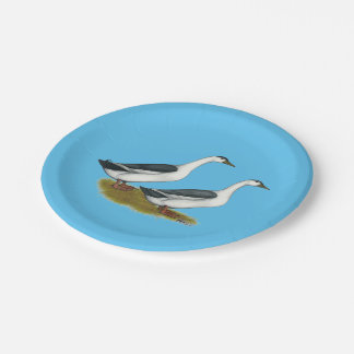 Ducks:  Blue Magpies Paper Plate