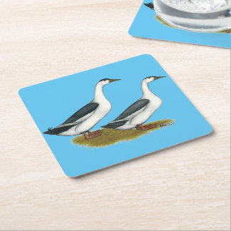 Ducks: Blue Magpies Square Paper Coaster