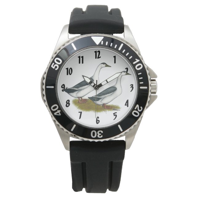 Ducks:  Blue Magpies Watch (Front)