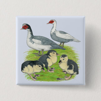 Ducks Blue Pied Muscovy Family 15 Cm Square Badge