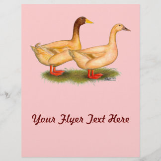 Ducks: Buff Orpington Flyer