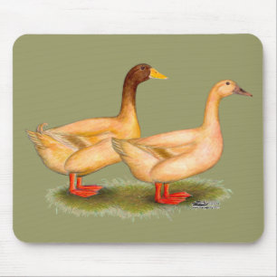 Ducks: Buff Orpington Mouse Pad