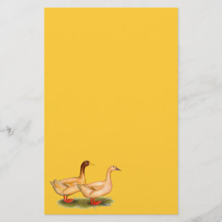 Ducks:  Buff Orpington Stationery