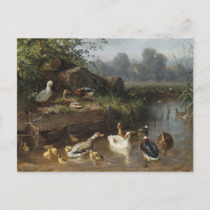 Ducks by the Stream by Carl Jutz Postcard