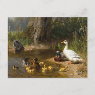 Ducks by the Water by Carl Jutz Postcard