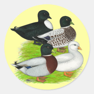 Ducks: Call Quartet Classic Round Sticker