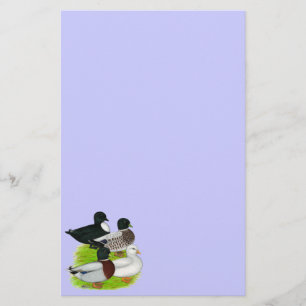 Ducks:  Call Quartet Stationery