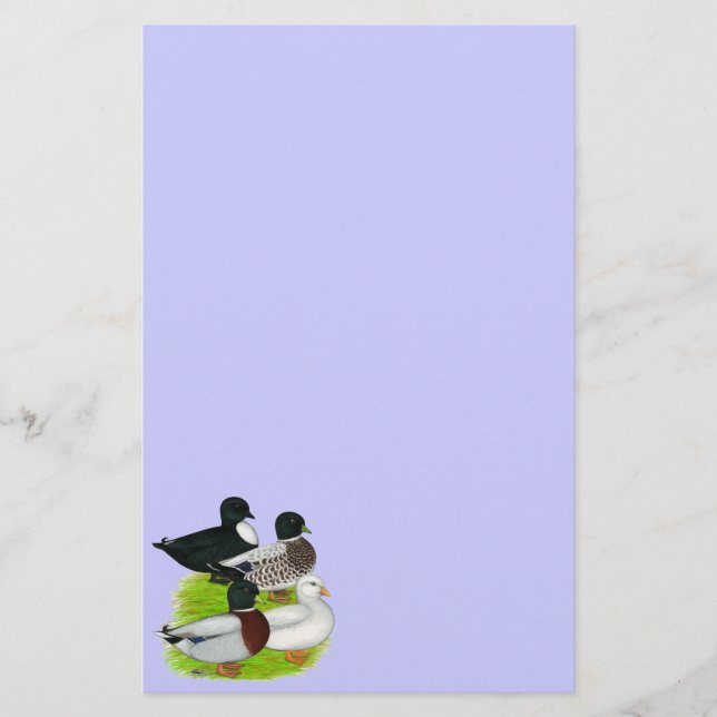 Ducks:  Call Quartet Stationery (Front)