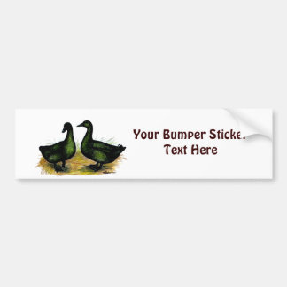 Ducks: Cayuga Pair Bumper Sticker