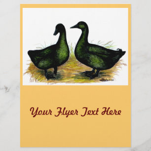 Ducks: Cayuga Pair Flyer