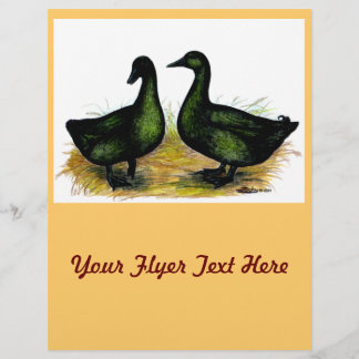 Ducks: Cayuga Pair Flyer
