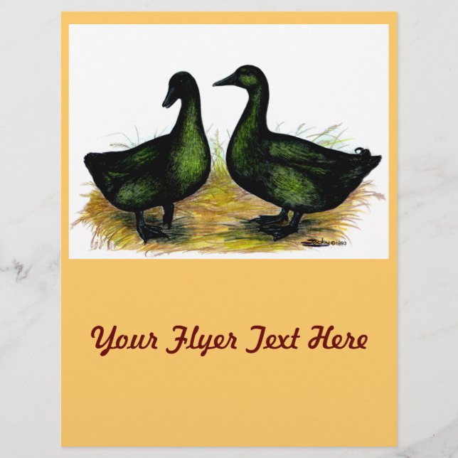 Ducks:  Cayuga Pair Flyer (Front)