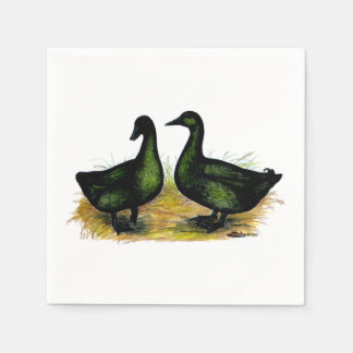 Ducks: Cayuga Pair Napkin