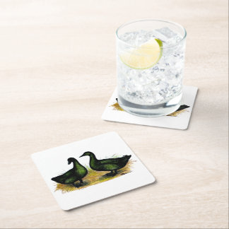 Ducks: Cayuga Pair Square Paper Coaster