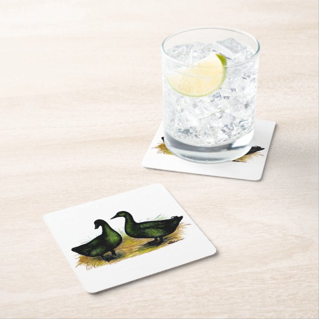 Ducks:  Cayuga Pair Square Paper Coaster (Insitu)