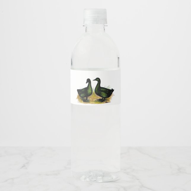 Ducks:  Cayuga Pair Water Bottle Label (Front)