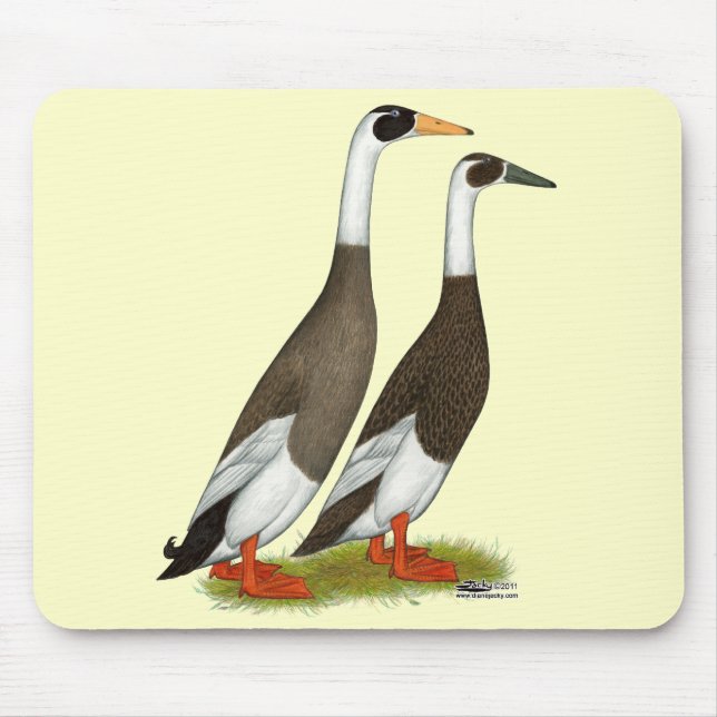 Ducks:  Emery Penciled Runners Mouse Pad (Front)