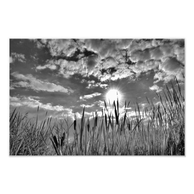 Duck's Eye View Photo Print (Front)