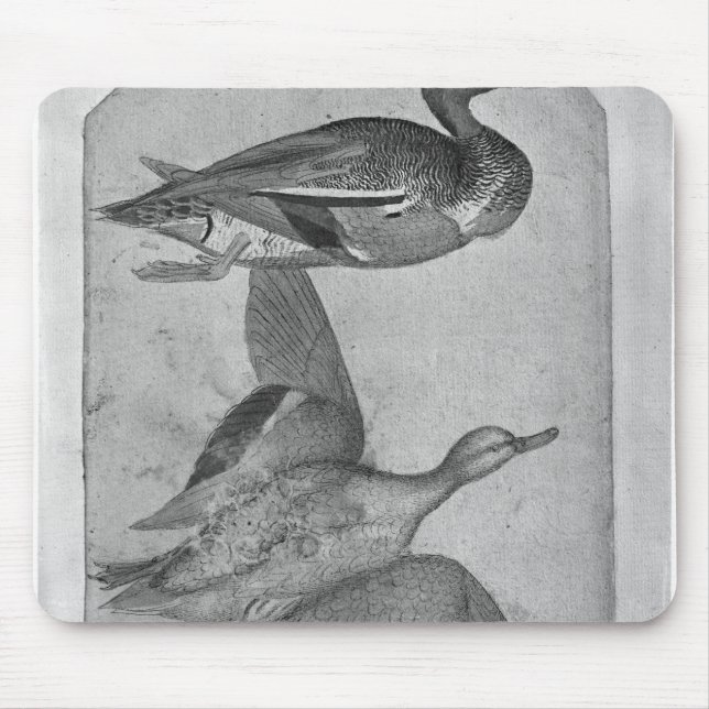 Ducks, from the The Vallardi Album Mouse Pad (Front)