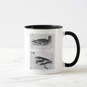 Ducks, from the The Vallardi Album Mug