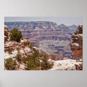 Duck's Grand View Poster