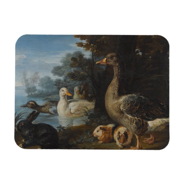 Ducks Guinea Pigs and a Rabbit in a Wooded Landsc Magnet (Horizontal)