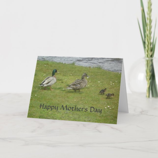 Ducks Happy Mothers Day Card (Front)
