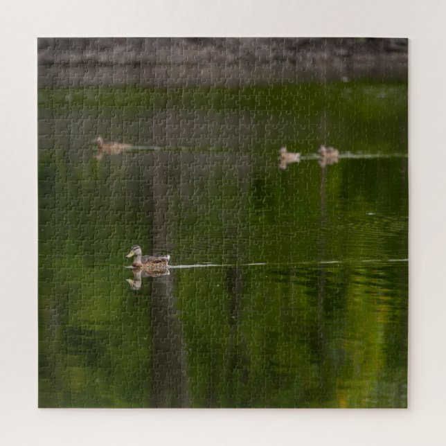 Ducks in a Green Lake Jigsaw Puzzle (Vertical)